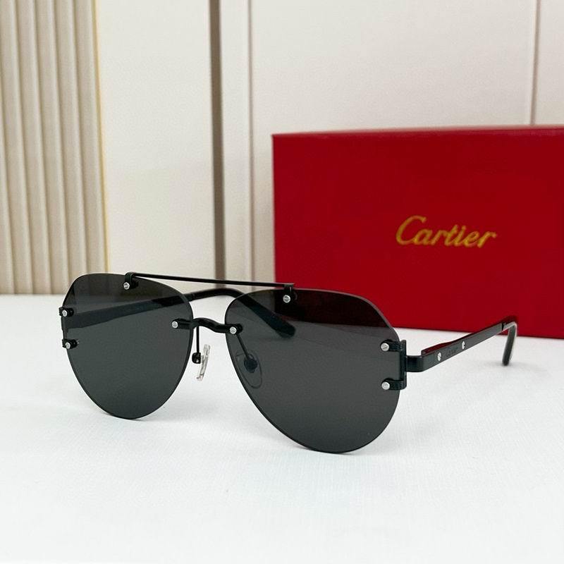 Cartier Sunglasses 875